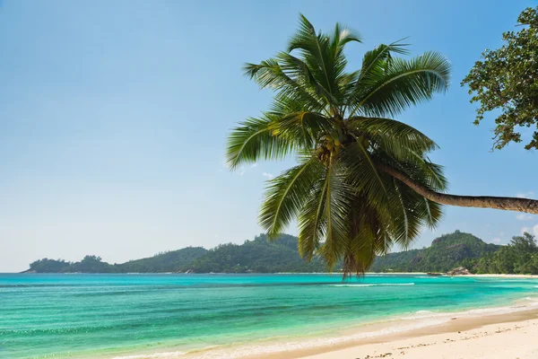 Spiaggia tropicale a Mahe — Foto Stock