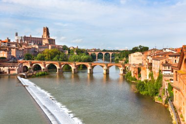 View of the Albi, France clipart