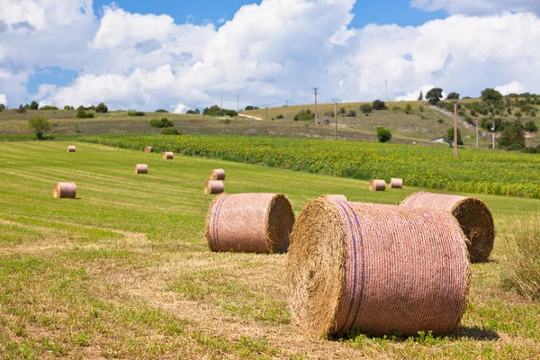 Paesaggio rurale, Francia — Foto Stock