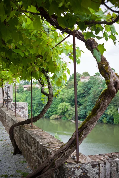 Callejón del Palais de la Berbie Gardens en Albi , — Foto de Stock