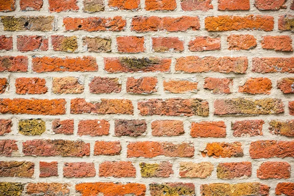 Backsteinmauer Hintergrund — Stockfoto