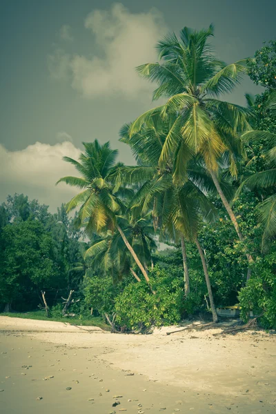 Plage tropicale sur l'île de Mahe — Photo