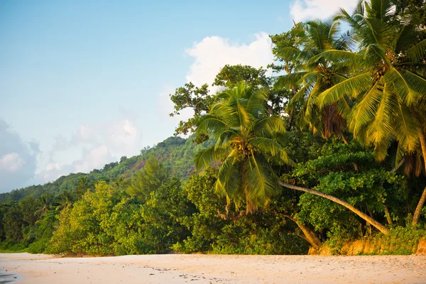 Playa tropical en la isla de Mahe — Foto de Stock