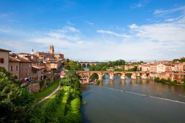 View of Albi, France clipart
