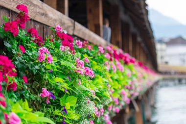 Flowers on The Chapel Bridge in Lucerne clipart