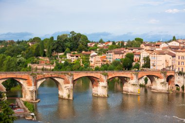View of the August bridge in Albi, France clipart