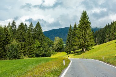 Yaz orman üzerinden dolambaçlı yol