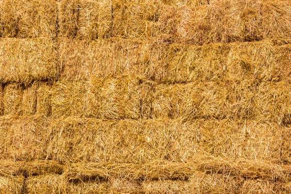 Fresh straw hay bales background — Stock Photo, Image