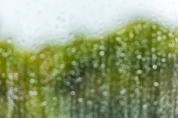 Gotas de agua de lluvia —  Fotos de Stock