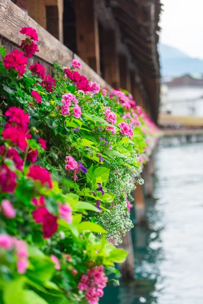 Flores sobre El Puente de la Capilla en Lucerna — Foto de Stock