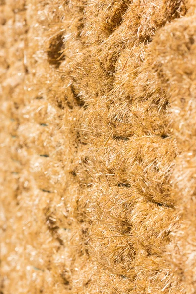 Fresh straw hay bales background — Stock Photo, Image