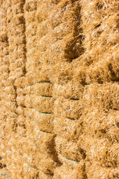 Fresh straw hay bales — Stock Photo, Image