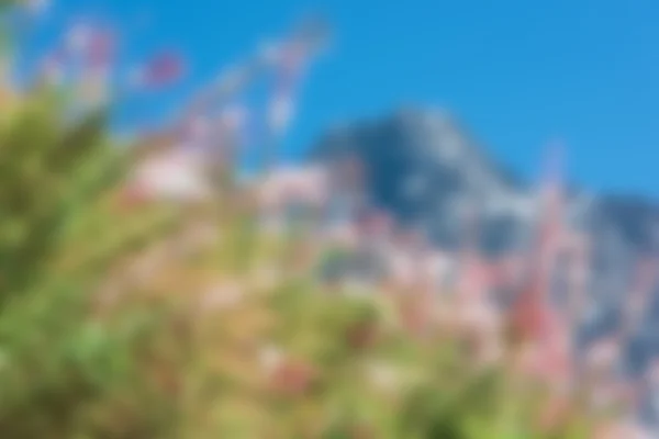 Oskärpa oskärpa bild av berg och rosa blommor — Stockfoto
