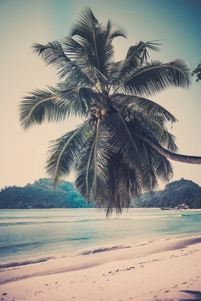 Spiaggia tropicale sull'isola di Mahe Seychelles — Foto Stock