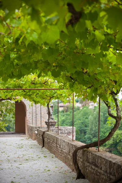 Callejón Jardines del Palais de la Berbie — Foto de Stock