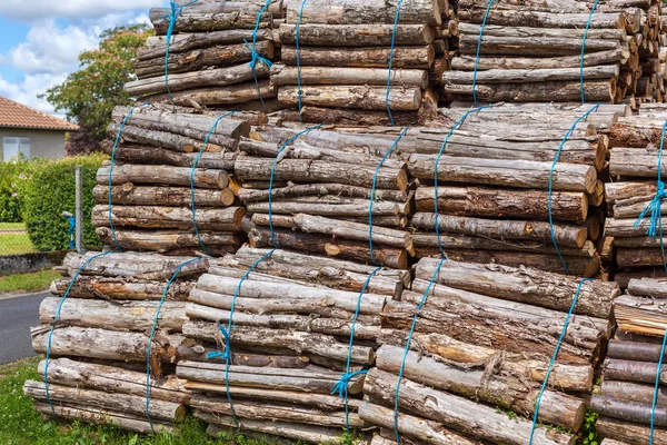 Grote stapel hout logs — Stockfoto