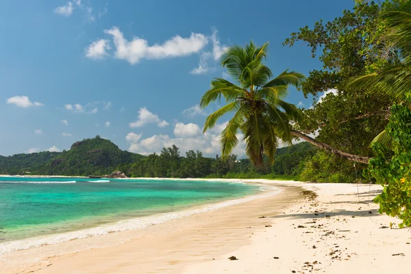 Spiaggia tropicale sull'isola di Mahe Seychelles — Foto Stock