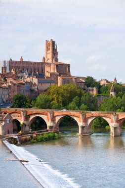 View of the Albi, France clipart
