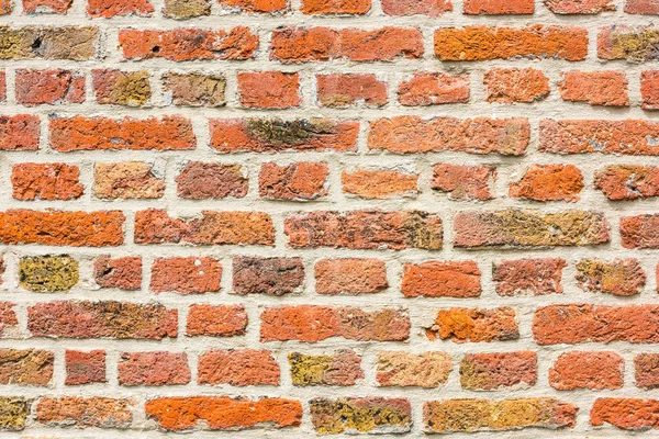 Tło ściany z cegły — Zdjęcie stockowe