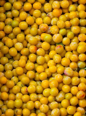 Arka plan olarak taze sarı Erik