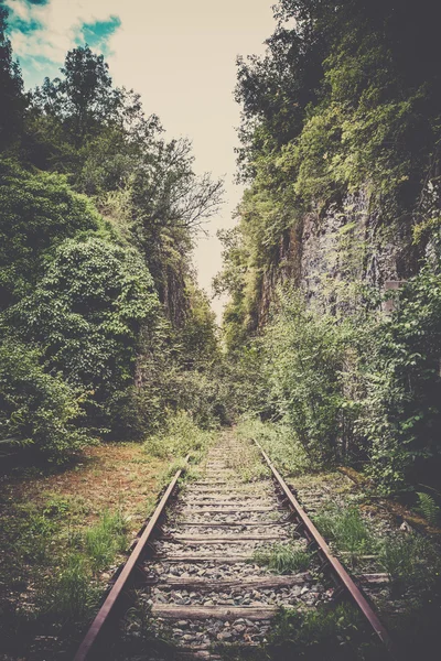 Vecchia ferrovia mistica in una foresta — Foto Stock