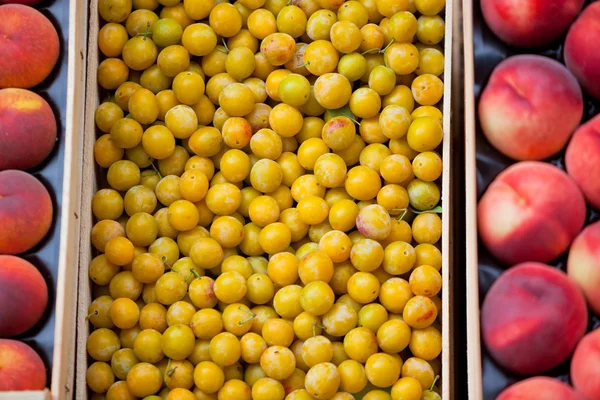 Prugne gialle fresche — Foto Stock