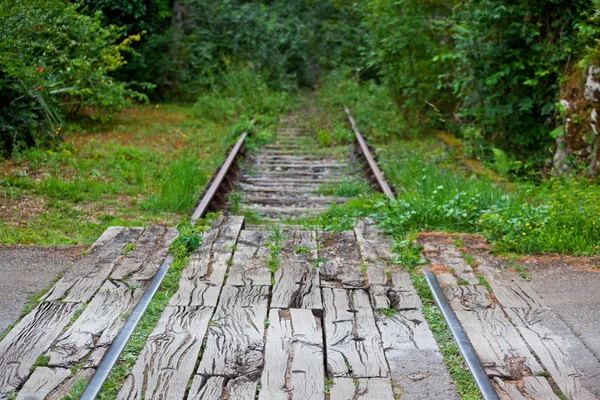 Velha estrada de ferro em uma floresta — Fotografia de Stock