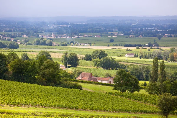 Campos de viñedo en el sur de Francia — Foto de Stock