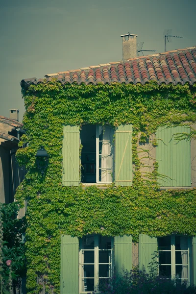 Mur envahi de façade de bâtiment résidentiel — Photo