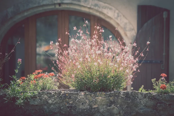 Fasáda domu s balkónem a květiny — Stock fotografie