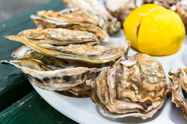 Una docena de ostras en un plato de plástico — Foto de Stock