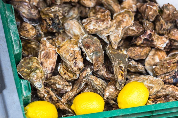 在 Cancale，法国的牡蛎市场 — 图库照片