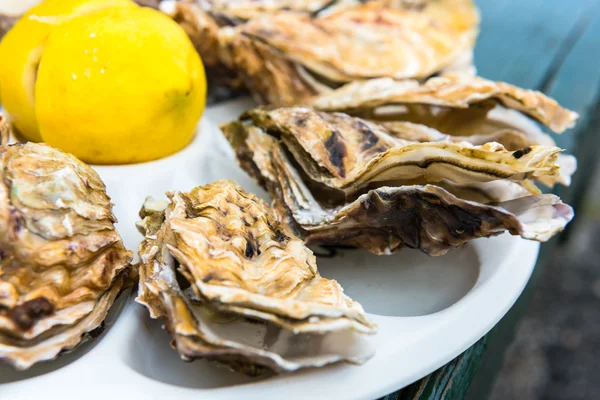 Una docena de ostras en un plato de plástico — Foto de Stock