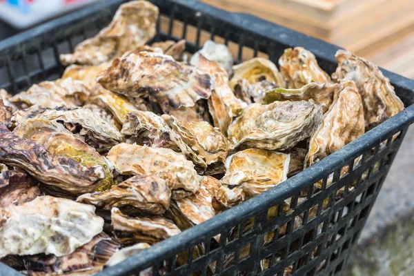 Mercado de ostras em Cancale, Francia — Fotografia de Stock