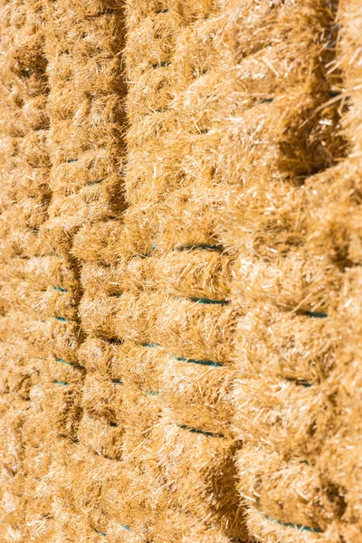 Fresh straw hay bales background — Stock Photo, Image