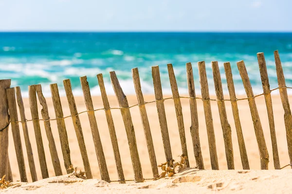 Wooden fence on an Atlantic beach — Stock Photo, Image