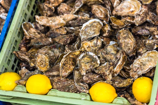 Oysters market in Cancale, France — Stock Photo, Image