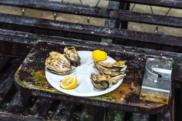 Meia dúzia de ostras numa placa de plástico — Fotografia de Stock
