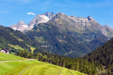 yeşil arazi manzara