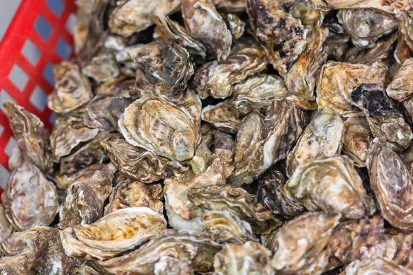 Austernmarkt in cancale, Frankreich — Stockfoto