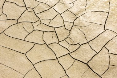 kurutulmuş kırık deniz dibinin ayrıntılarını