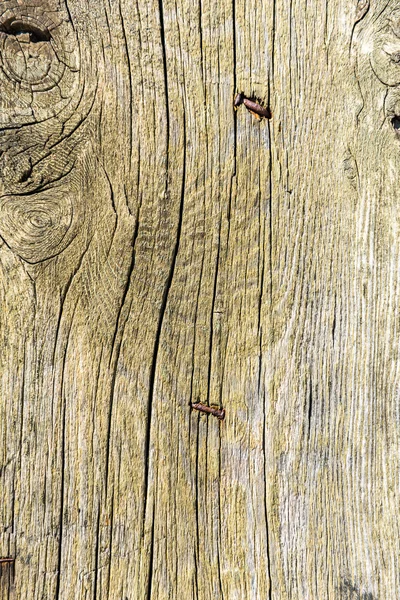 Oude houten planken oppervlakte achtergrond — Stockfoto