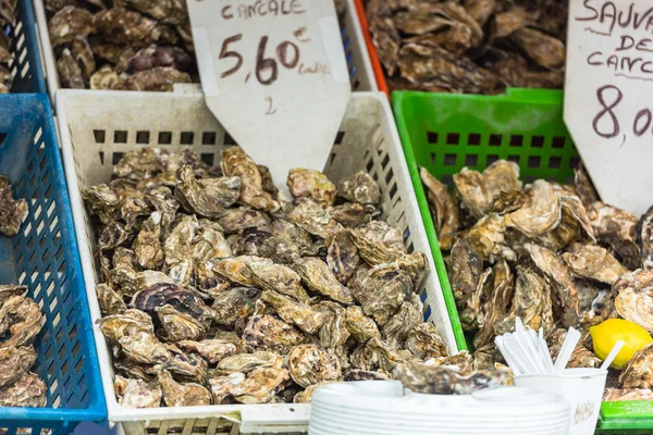 Austernmarkt in cancale, Frankreich — Stockfoto