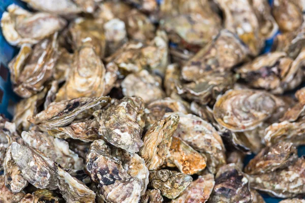 Oesters markt in Cancale, Frankrijk — Stockfoto