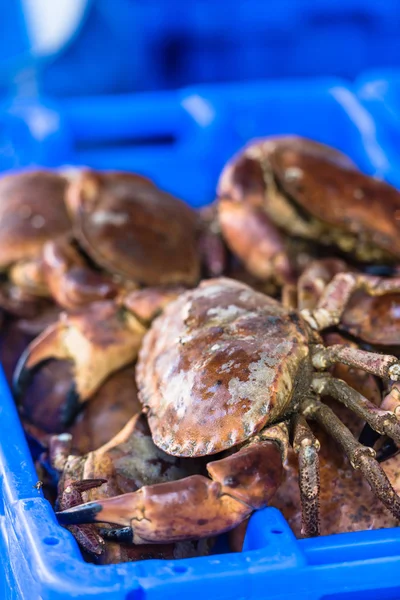 Rohe ganze Krabben auf Eis. — Stockfoto