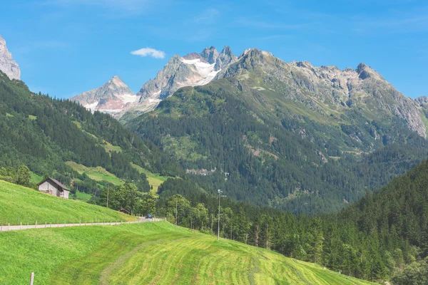 Montanhas suíças com paisagem verde — Fotografia de Stock