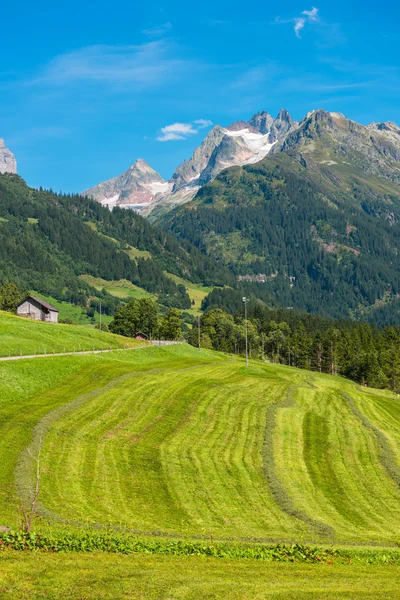 Montagnes suisses avec des terres vertes — Photo