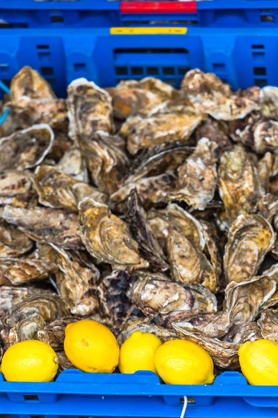 Oysters market in Cancale, France — Stock Photo, Image
