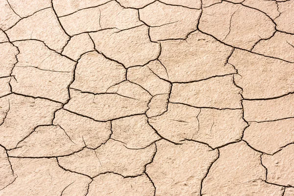 Details of a dried cracked seabed — Stock Photo, Image
