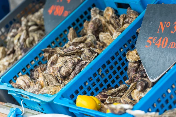 Marché aux huîtres à Cancale — Photo